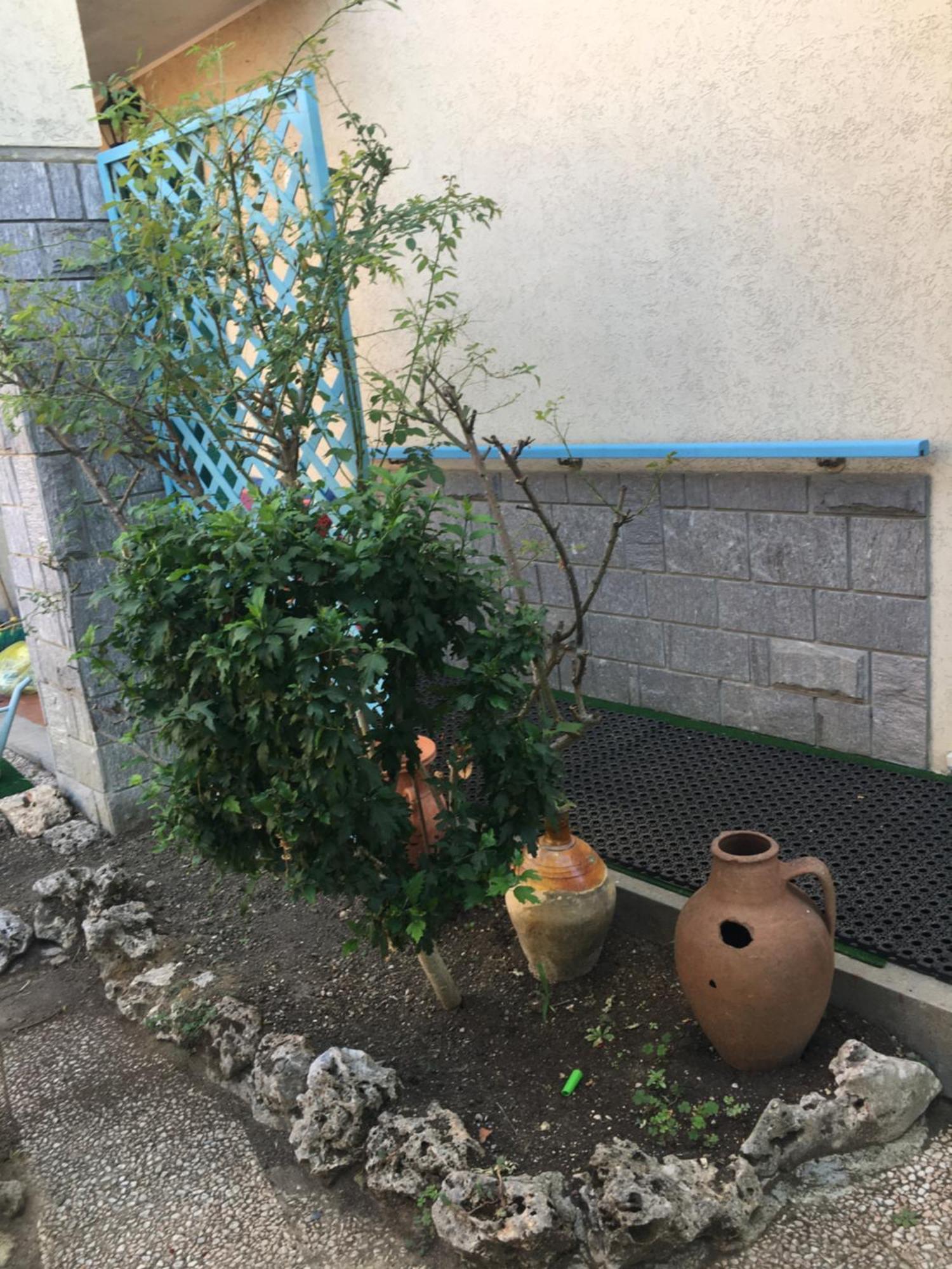 Lerosedimiamamma Διαμέρισμα Cassine Εξωτερικό φωτογραφία